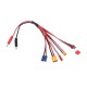 Universal Charge Cable 5 Outlet XT30 XT60 TPLUG EC3 JST